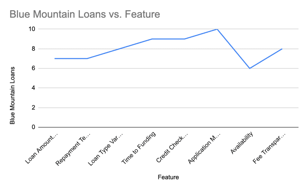 Blue Mountain Loans Review